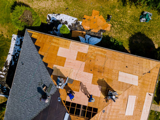 Best Roof Maintenance Services  in Germantown, IL