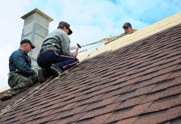 Best Gutter Installation and Roofing  in Germantown, IL